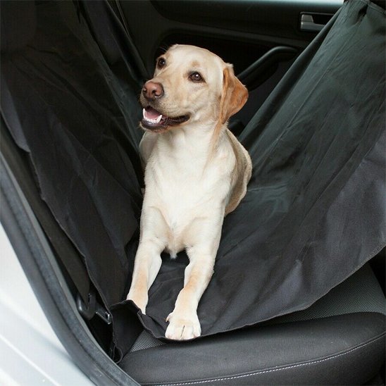 protection voiture chien Confort animal: surface antidĂ©rapante offrant stabilitĂ© et bien-ĂȘtre