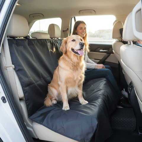Protection chien voiture | Imperméable Antidérapante