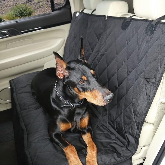 Housse banquette arrière  voiture imperméable pour  chien avec rembourrage offrant protection et confort optimal