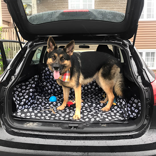 housse pour voiture résistante protection contre les griffes des animaux