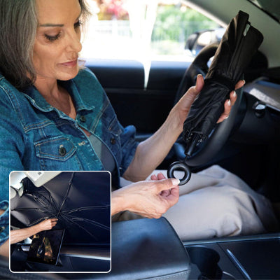 pare soleil voiture premium confortable et maintien la fraicheur intérieur voiture