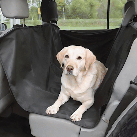 protection voiture chien universelle et pratique animation confort automobile